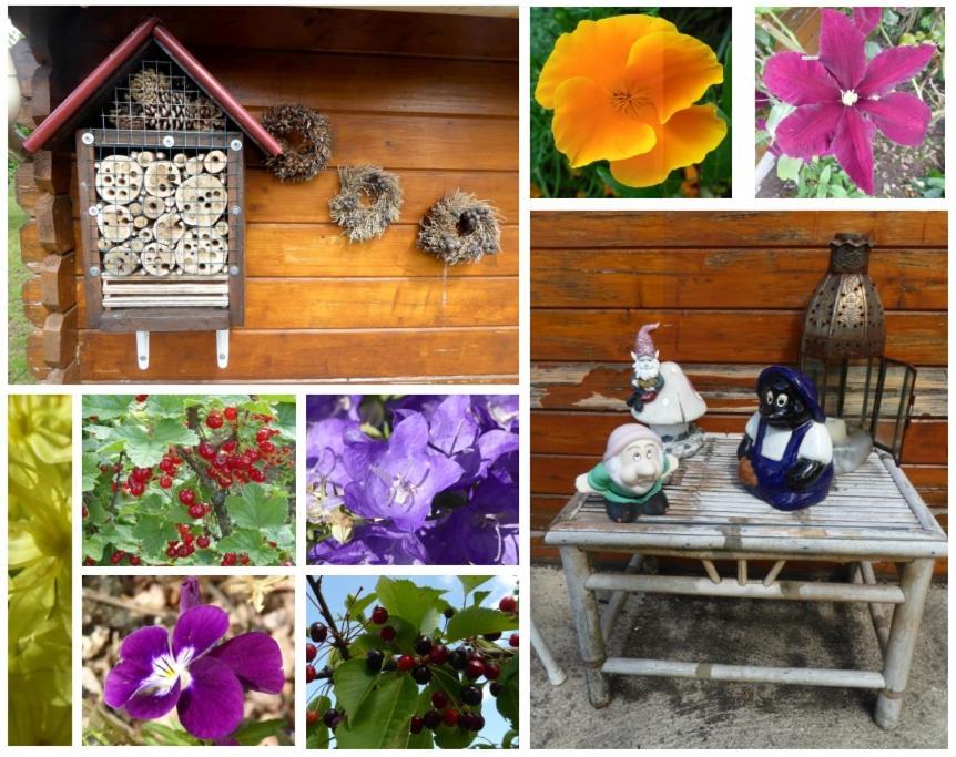 Au Rendez Vous De L'Auxois B&B Essey Bagian luar foto